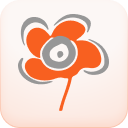 Fleuriste Miss Flor
